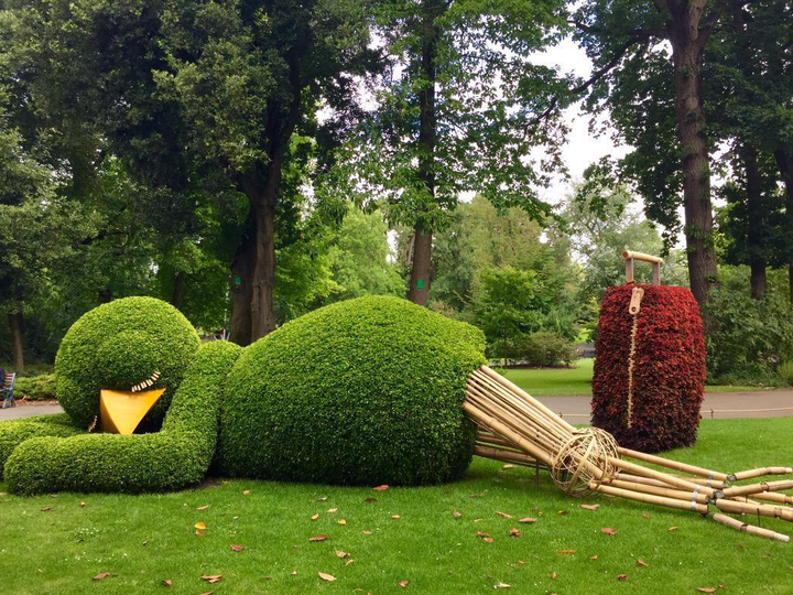 Bắt gặp loạt chú chim khổng lồ 'ngủ gật' ở vườn, con cuối 'nhìn cưng muốn xỉu' - 3