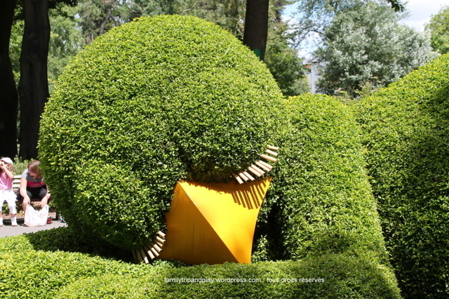 Bắt gặp loạt chú chim khổng lồ 'ngủ gật' ở vườn, con cuối 'nhìn cưng muốn xỉu' - 5