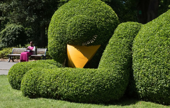 Bắt gặp loạt chú chim khổng lồ 'ngủ gật' ở vườn, con cuối 'nhìn cưng muốn xỉu' - 4