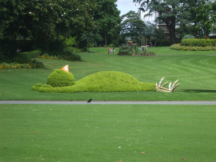 Bắt gặp loạt chú chim khổng lồ 'ngủ gật' ở vườn, con cuối 'nhìn cưng muốn xỉu' - 7