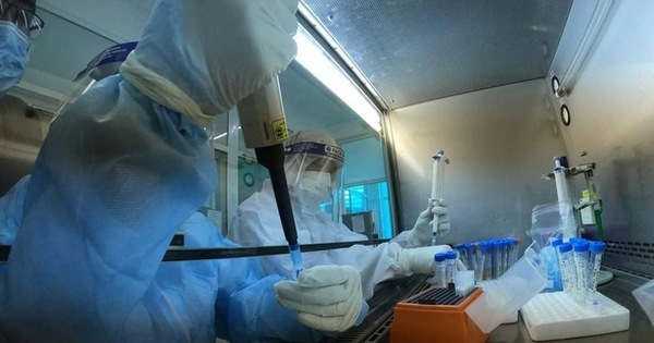 Nữ cán bộ trường tiểu học ở Điện Biên nghi mắc COVID-19, chưa rõ nguồn lây - 1