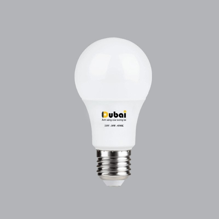 Công ty thiết bị điện Dubai Electric - Nâng tầm chất lượng ánh sáng Việt - 3