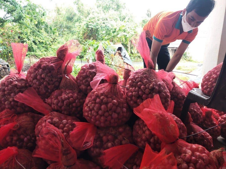 Hành tím Vĩnh Châu được tiêu thụ 'thần tốc' sau khi lên sàn thương mại điện tử - 1