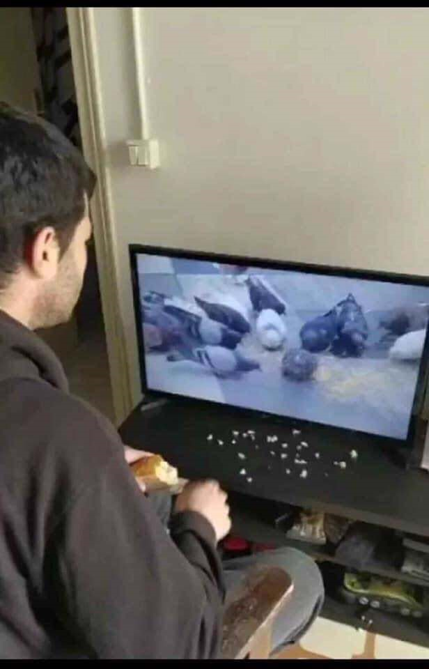 Ở nhà quá rảnh, dân mạng bày trò ‘giết thời gian’ nhìn vào đã thấy cười cả buổi - 13