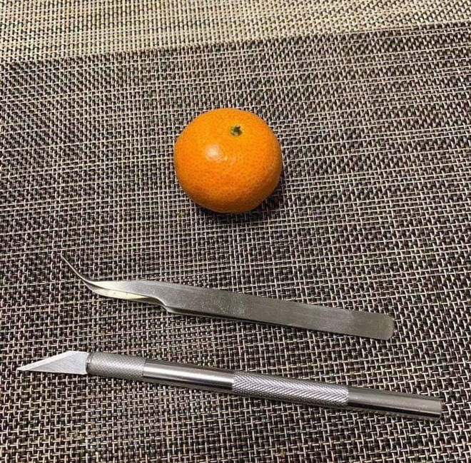 Ở nhà quá rảnh, dân mạng bày trò ‘giết thời gian’ nhìn vào đã thấy cười cả buổi - 5