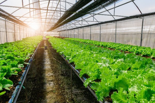 Tập đoàn VsetGroup công bố nhiều dự án mới trong năm 2021 - 2