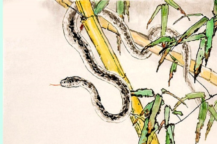 Dự đoán 12 con giáp 17/5: Tỵ vương vấn tình cũ, Tuất được sếp đánh giá cao - 1