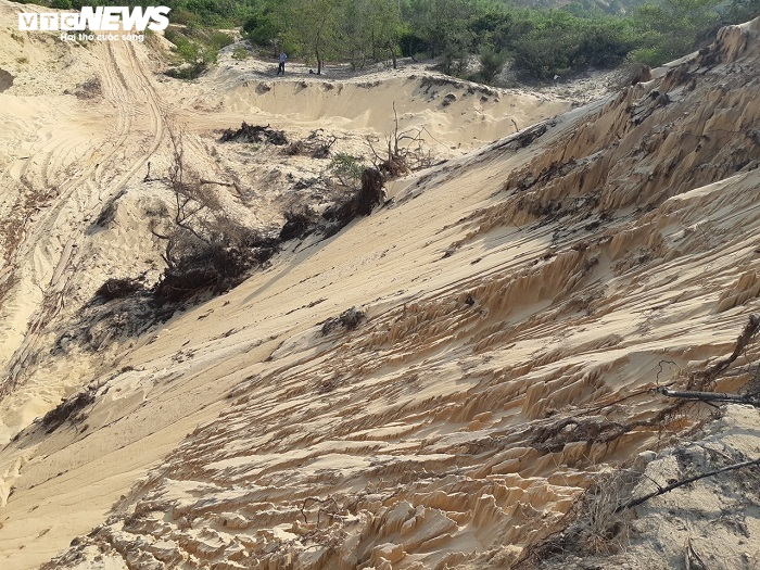 Ảnh: Những đồi cát ven vịnh biển đẹp nhất thế giới ở Huế bị đào bới tan hoang - 1