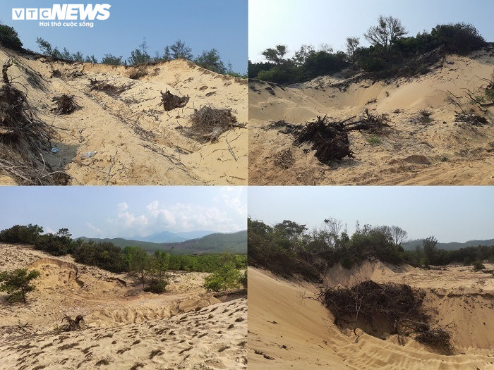 Ảnh: Những đồi cát ven vịnh biển đẹp nhất thế giới ở Huế bị đào bới tan hoang - 2