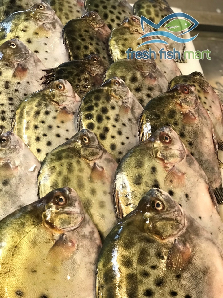 Siêu thị cá sạch - Thiên đường hải sản tại Đà Nẵng - 2