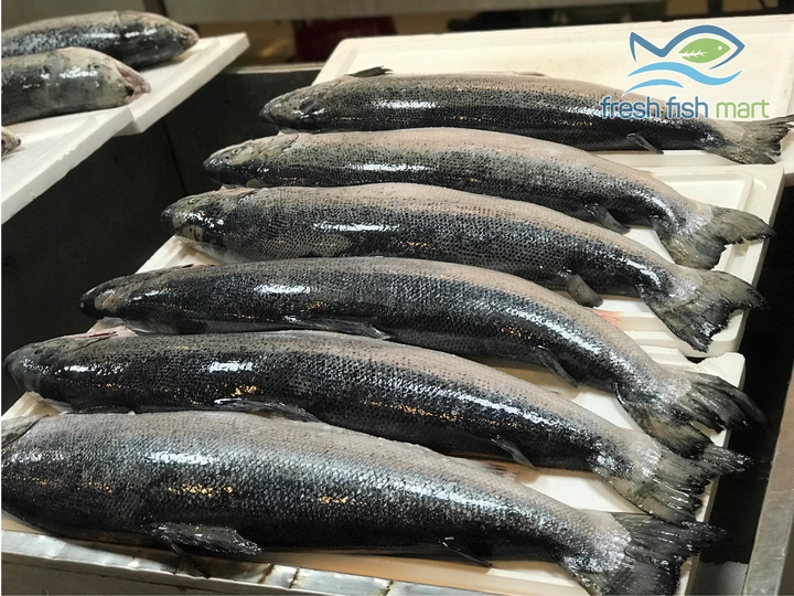 Siêu thị cá sạch - Thiên đường hải sản tại Đà Nẵng - 4