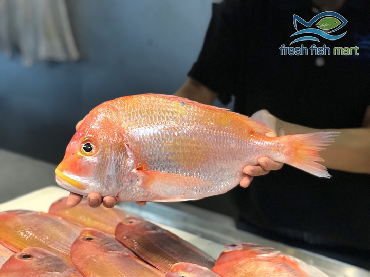 Siêu thị cá sạch - Thiên đường hải sản tại Đà Nẵng - 5