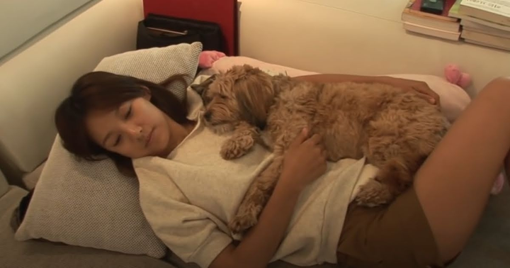 Chú chó bị giết làm thay đổi cách sống của 'nữ hoàng gợi cảm' Lee Hyori - 2