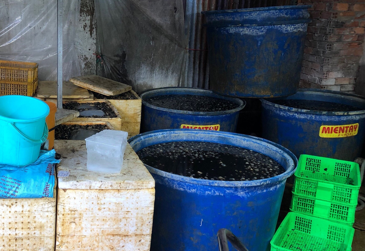 1,8 tấn ốc ở TP.HCM ngâm hóa chất suýt tuồn ra thị trường - 1