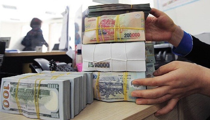 Điểm sáng trong mùa dịch COVID-19: Những doanh nghiệp tăng trưởng ngoạn mục - 1