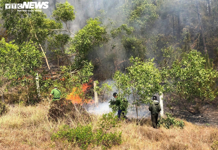 Ảnh: Hàng trăm người căng mình dập cháy rừng ở Quảng Nam suốt 20 giờ đồng hồ - 1