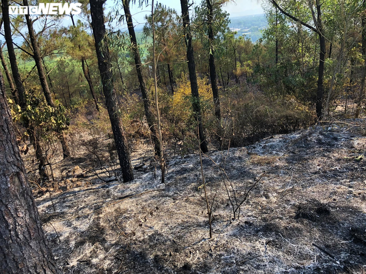 Ảnh: Hàng trăm người căng mình dập cháy rừng ở Quảng Nam suốt 20 giờ đồng hồ - 7