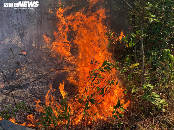Ảnh: Hàng trăm người căng mình dập cháy rừng ở Quảng Nam suốt 20 giờ đồng hồ - 2