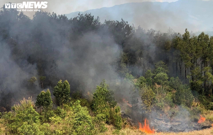 Ảnh: Hàng trăm người căng mình dập cháy rừng ở Quảng Nam suốt 20 giờ đồng hồ - 4