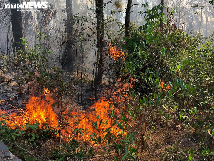 Ảnh: Hàng trăm người căng mình dập cháy rừng ở Quảng Nam suốt 20 giờ đồng hồ - 5