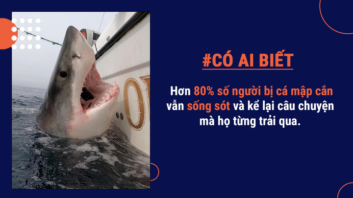 Có ai biết: Là loài vật nguy hiểm nhưng cá mập thực ra không muốn ăn thịt người - 8