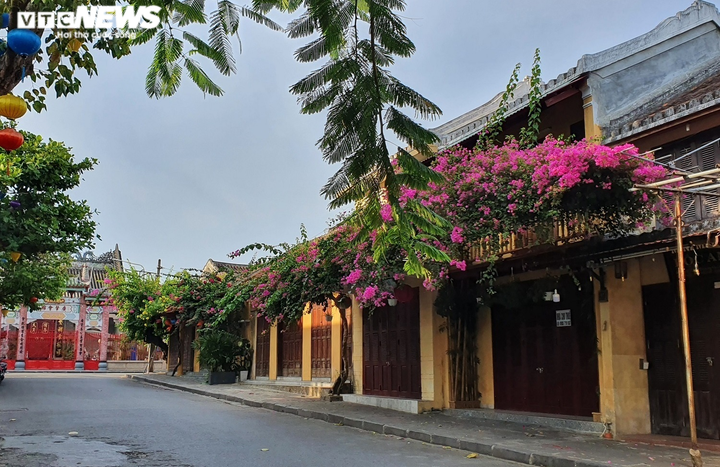 Ảnh: Phố cổ Hội An vắng lặng như tờ, hàng quán, điểm tham quan cửa đóng then cài - 9