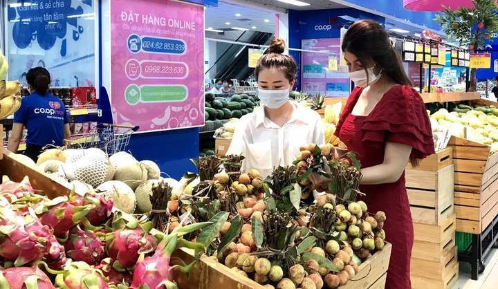 Trái vải bắt đầu lên kệ siêu thị Co.opmart - 1