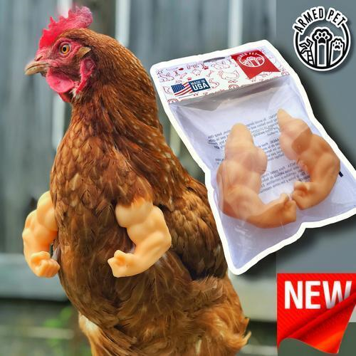 Dân tình rủ nhau ‘cấy’ tay cho gà và cái kết ‘cười không khép được miệng’ - 1