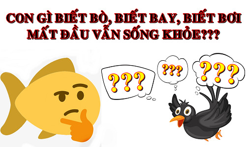 5 câu đố vui tưởng dễ mà đáp án lại khá 'khoai', bạn đoán được bao nhiêu? - 5