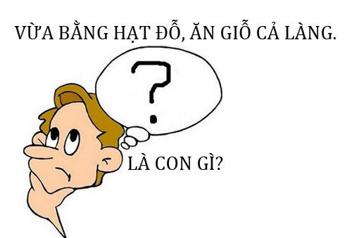 5 câu đố vui tưởng dễ mà đáp án lại khá 'khoai', bạn đoán được bao nhiêu? - 4