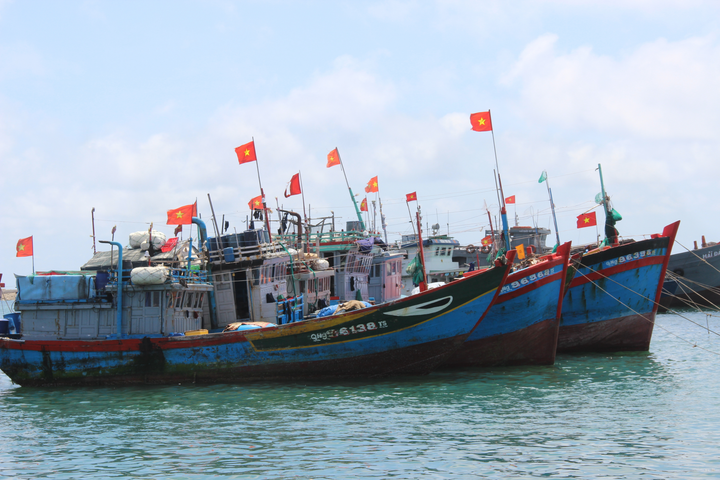 Quê hương hải đội Hoàng Sa rợp bóng cờ hoa trước ngày hội lớn - 3