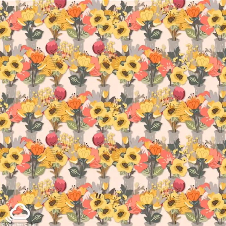 5 câu đố thách thức độ tập trung và khả năng quan sát của bạn - 2