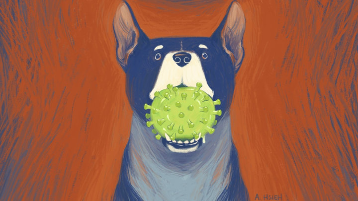 Phát hiện chủng virus corona mới có nguồn gốc từ động vật - 2