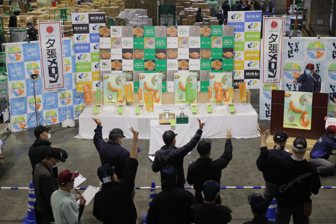 Nhật Bản: Cặp dưa lưới Yubari được đấu giá gần nửa tỉ đồng - 2