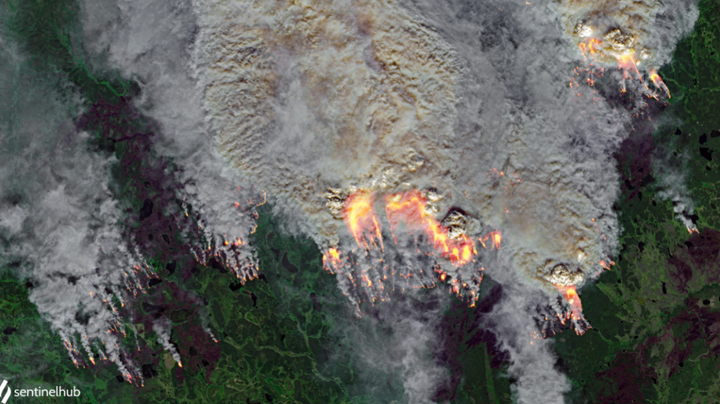 ‘Đám cháy thây ma’ ở Bắc Cực hồi sinh từ băng giá - 3