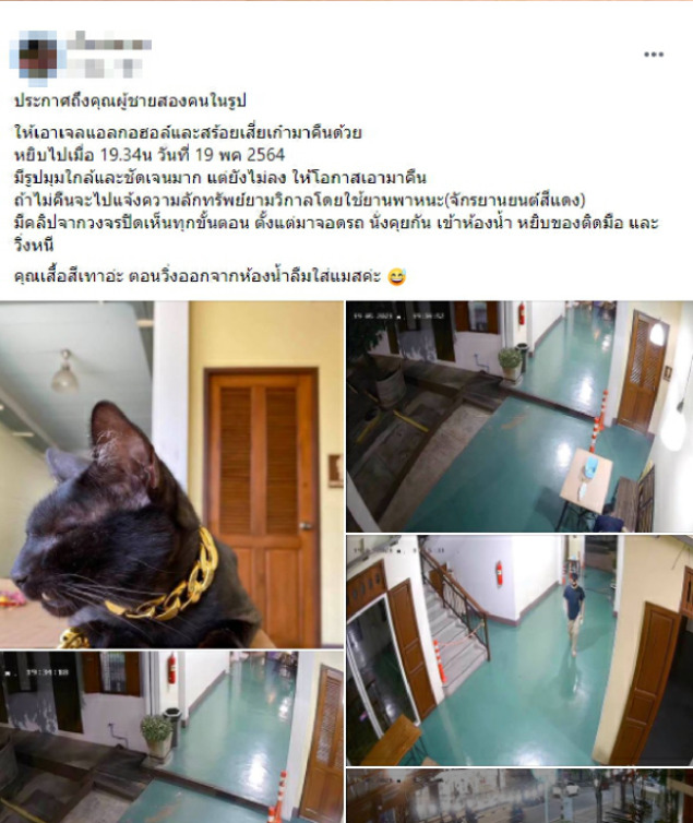 Bị truy tìm vì ăn cắp vòng của mèo, kẻ trộm trả lại đồ kèm theo tiền lãi - 1