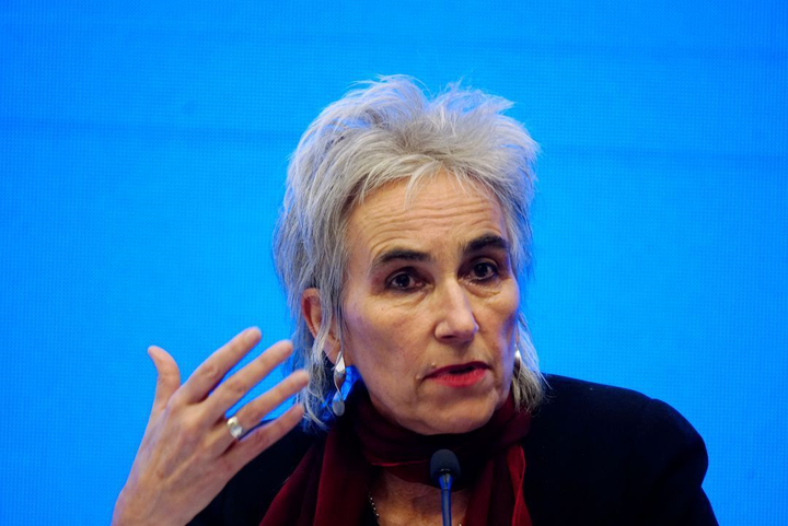 Chuyên gia WHO: Tiếp tục điều tra nguồn gốc COVID-19 tại Trung Quốc sẽ hữu ích - 1