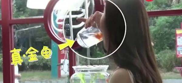 Dàn mỹ nhân Hoa ngữ liều mạng đóng phim, có người phải mang di chứng cả đời - 5