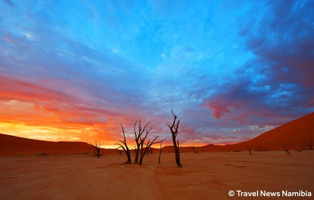 ‘Đầm lầy chết’ hơn 900 năm tuổi hiện lên giữa sa mạc như bức tranh tuyệt mỹ - 7