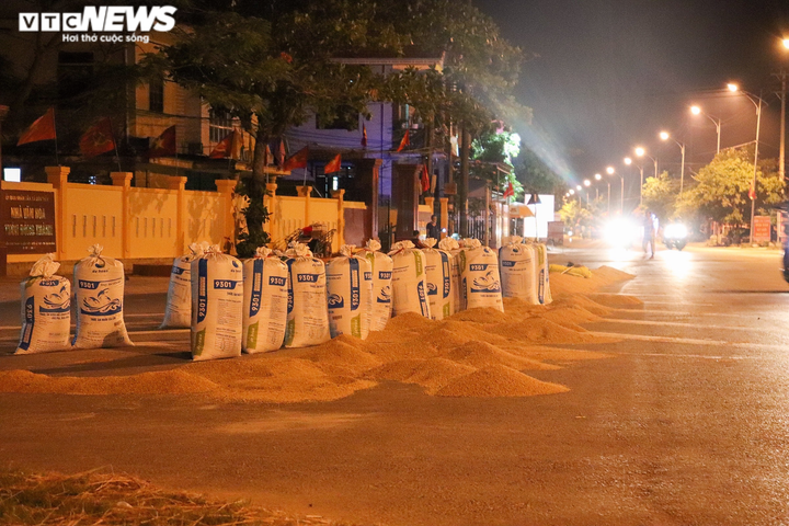 Ảnh: Tránh nắng ‘như thiêu như đốt’, nông dân Quảng Bình gặt lúa xuyên đêm - 5