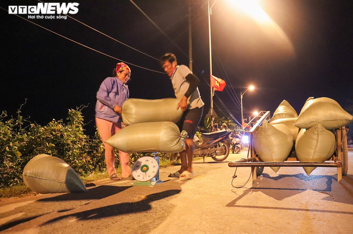 Ảnh: Tránh nắng ‘như thiêu như đốt’, nông dân Quảng Bình gặt lúa xuyên đêm - 7