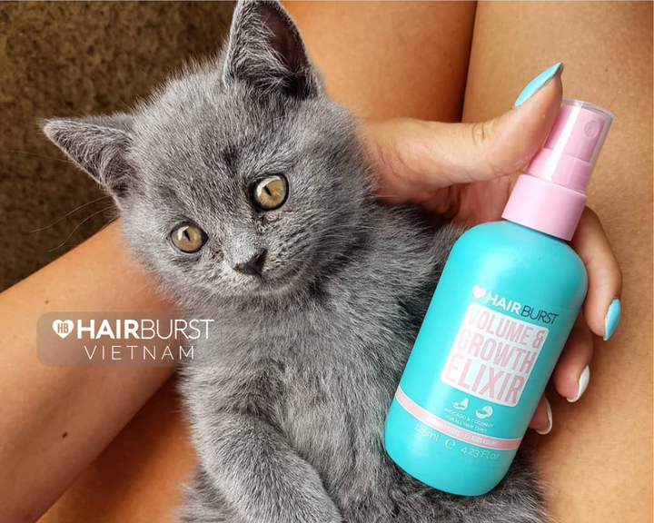 Điều gì ở Hairburst Anh Quốc khiến hàng ngàn các cô gái mê mệt? - 4