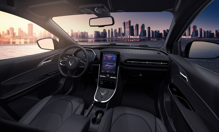 'VinFast gánh mọi rủi ro về pin để ô tô điện tiếp cận được số đông người dùng' - 5