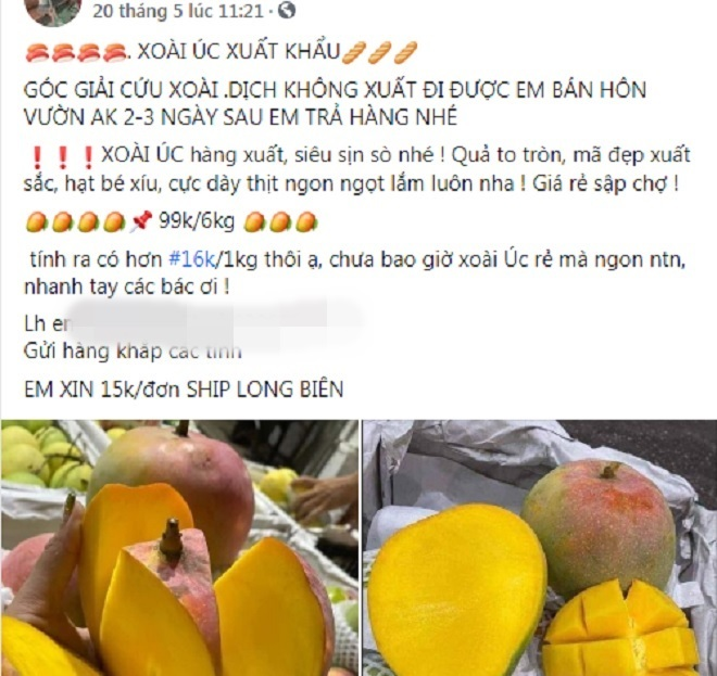 Xoài Úc khổng lồ rớt giá, dân mạng hô hào 'giải cứu' - 2
