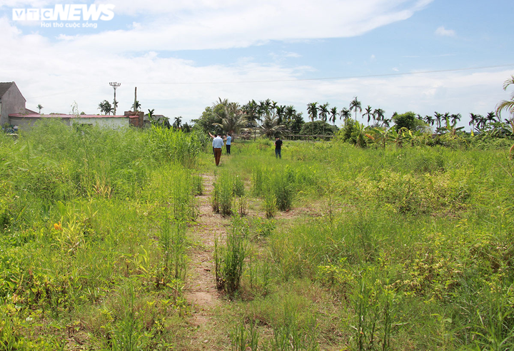 Công an điều tra nhóm người lạ mặt đột nhập khu đất của người dân ở Hải Phòng - 1