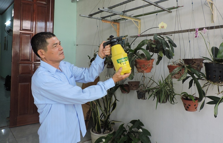 Bảo hiểm xã hội: Chỗ dựa an vui cho tuổi già - 3