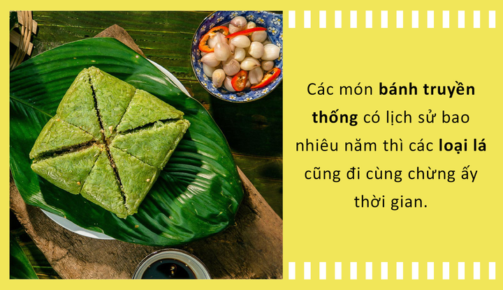 Lá gói bánh: Nhân vật phụ trong các món đặc sản nhưng có bề dày lịch sử đáng nể - 1