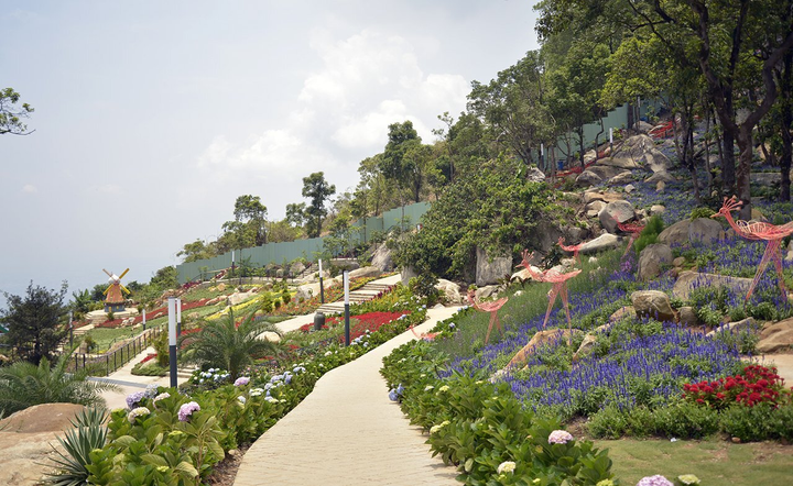 F0 đầu tiên xuất hiện trong cộng đồng, Tây Ninh dừng thêm nhiều hoạt động - 1