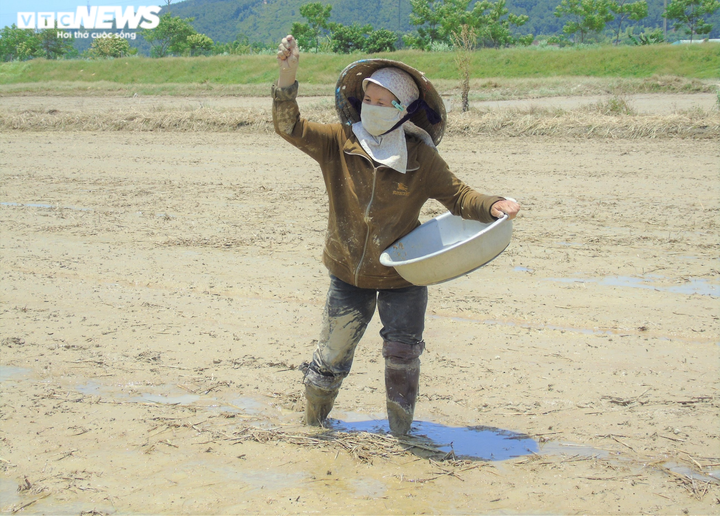 Nắng thiêu đốt 41 độ C, người dân vẫn hối hả ra đồng làm việc - 2