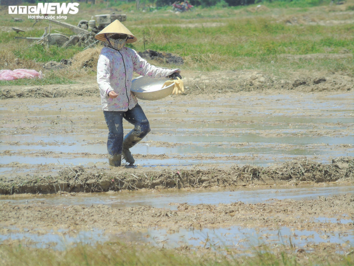 Nắng thiêu đốt 41 độ C, người dân vẫn hối hả ra đồng làm việc - 10